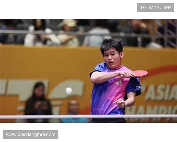 广州乒乓球队奋斗历程的真实记录与精神传承