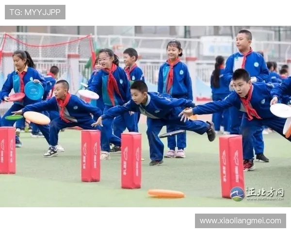 张娜独家分享飞盘心得与技巧助你轻松掌握这项运动的乐趣与魅力