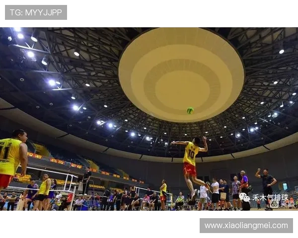 排球巨献：深入分析西安排球队的战术节奏与配合技巧