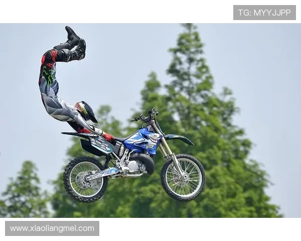 极限运动战术揭秘南京极限运动队的反击体系与战斗策略分析 极限运动战术揭秘南京极限运动队的反击体系与战斗策略分析