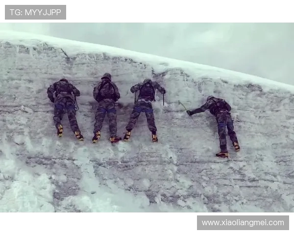 武汉攀岩队实力解析：挑战极限与团队精神的完美结合