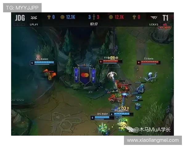 英雄联盟焦点：JDG的耐力探讨