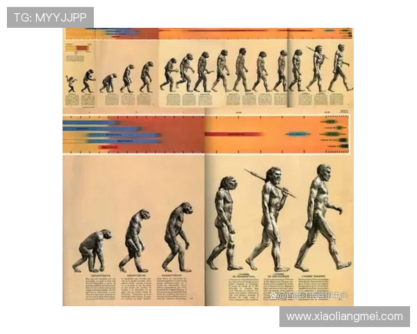 西安网球队灵活性分析与表现评估的深度研究与探讨