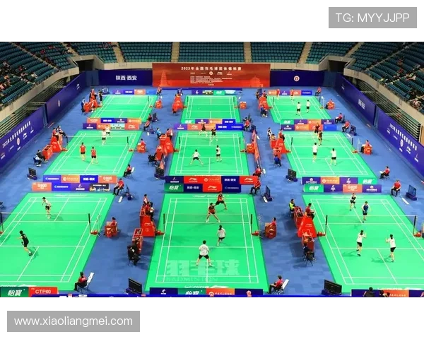 西安羽毛球队荣登全国团队协作排行榜首位展现卓越实力与团队精神