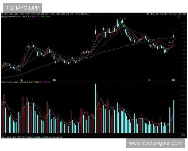 中国与委内瑞拉篮球比赛分析大小分走势及预测策略探讨