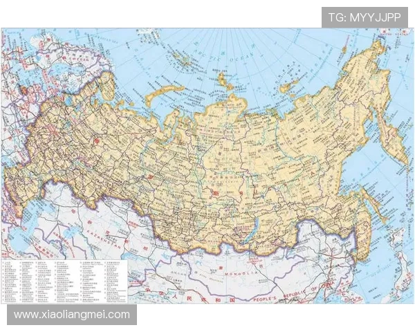 俄罗斯对阵沙特精彩直播文字实况全程回顾与分析