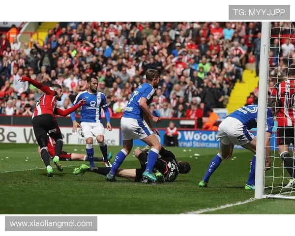 埃弗顿主场迎战莱切斯特力争三分争夺英超保级希望