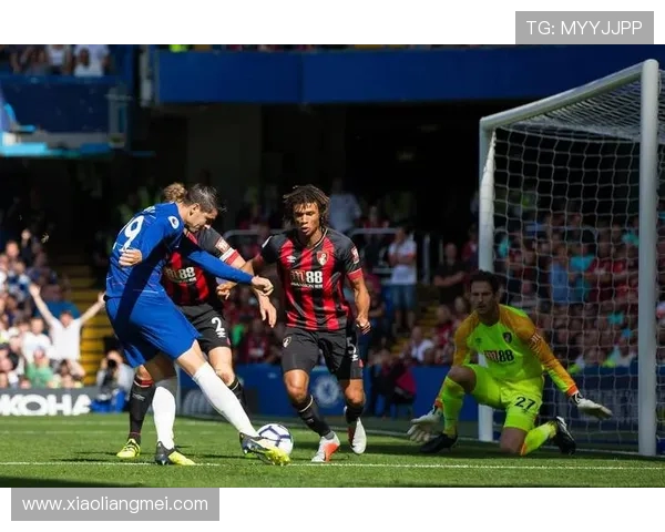 太阳神与鲸八的巅峰对决谁能笑到最后揭开神秘面纱的壮丽篇章
