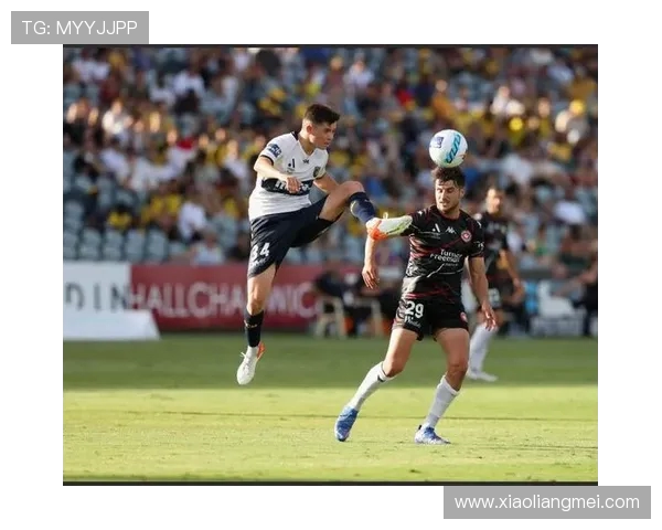 悉尼皇帝与柏斯野猫的精彩对决谁将赢得澳洲足球赛季的荣耀