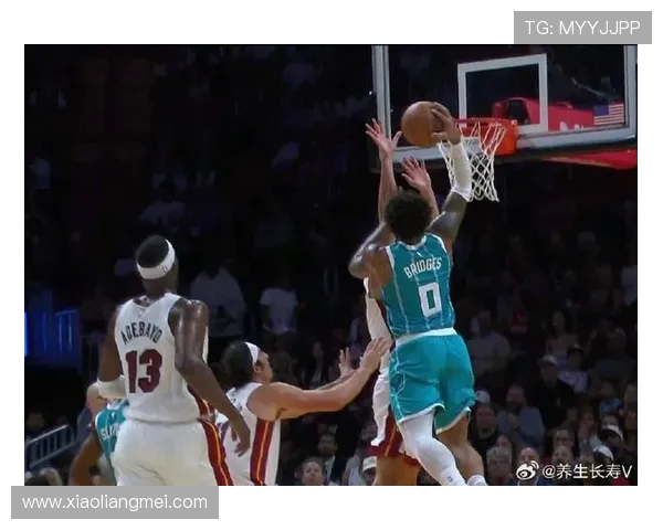 热火与黄蜂激战回放精彩瞬间重温赛场激情与对抗