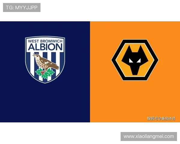 狼队与西布罗姆激战正酣精彩直播全程回顾与分析