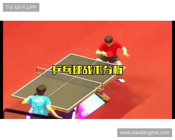 杭州乒乓球队防守战术深度解析与实战应用探讨