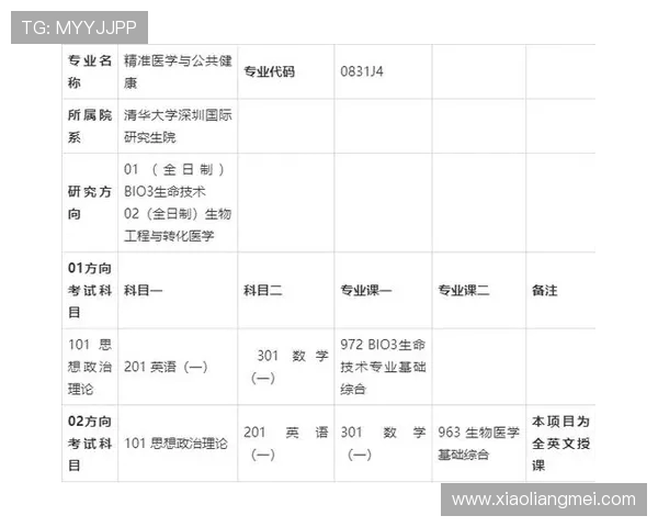 武汉篮球队比赛经验分析与表现评估的深度研究与探讨